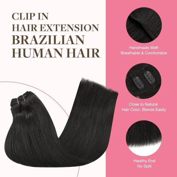 goo goo clip in hair extensions real human hair, remy human hair extensions clip ins for women, natural human hair, 18d/22f dirty blonde highlights (copy)